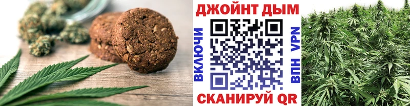 ссылка на мегу как войти  что такое наркотик  Свободный  Cannafood конопля 