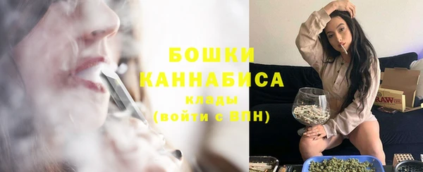 сатива Переславль-Залесский